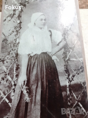 Стара снимка Австрия - дебел картон, снимка 2 - Антикварни и старинни предмети - 53306935