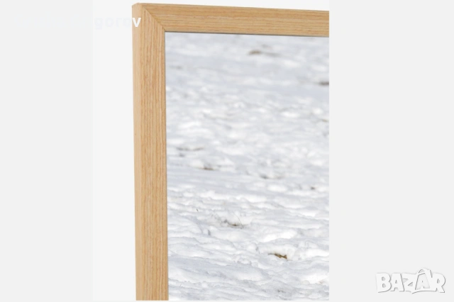 Фотокартина с муфлон, снимка 2 - Картини - 53961077