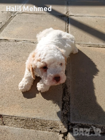 Лагото Романьоло, снимка 2 - Други - 52547291