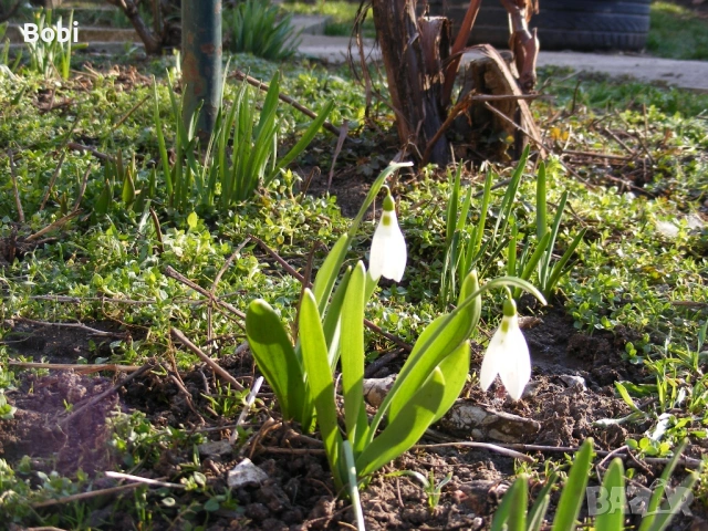 Fujifilm FinePix S5700, снимка 10 - Фотоапарати - 53655589