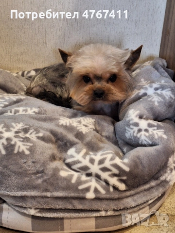 търся си жена