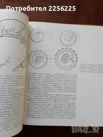 От яйцето до възрастния организъм, снимка 4 - Специализирана литература - 50762465