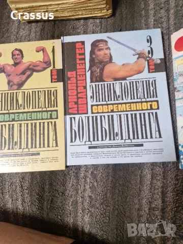 Продавам антикварни книги и други, снимка 7 - Антикварни и старинни предмети - 52002660