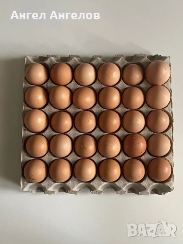 Домашни яйца, снимка 2 - Други стоки за дома - 53780590