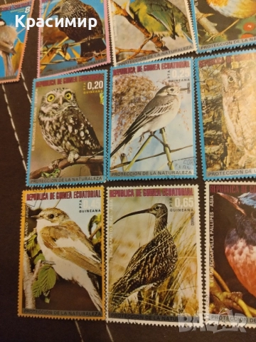 Екваториална Гвинея 1976 г., снимка 9 - Филателия - 52325418