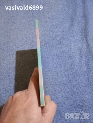 Ръби Айрес - Дълго очакване , снимка 2 - Художествена литература - 52896093