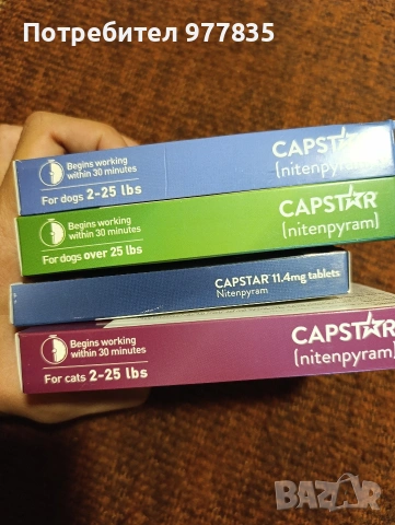 CAPSTAR против бълхи, снимка 5 - Ветеринари и услуги - 54279864