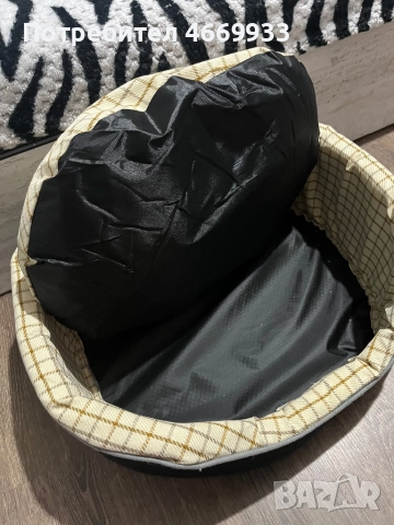 Чихуахуа , снимка 6 - Чихуахуа - 52668725