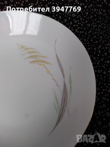 6 чинии, Eschenbach, Bavaria  , снимка 7 - Чинии - 45482527