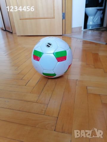 Кожена топка от Европейското по футбол в Германия, снимка 7 - Футбол - 46464047