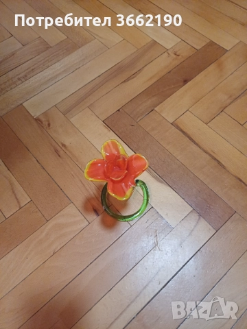 Цвете Мурано