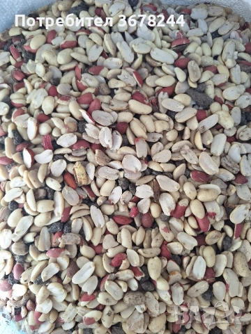 Фъстъци второ качество, снимка 1