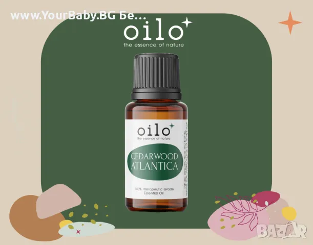 Oilo БИО Етерично Масло от Кедрово дърво (Cedarwood) - Atlas cedar Oilo 5 мл., снимка 10 - Други - 49721332