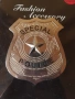 значка Special Police, снимка 2