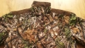 DEERHUNTER PACHA DEER-TEX SET размер 2-3XL за лов екип водонепромокаем - 2377, снимка 8