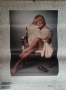Лили Иванова- плакати и календар-2009 год, снимка 1