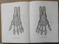 "Анатомичен атлас на човешкото тяло" в три тома, снимка 2