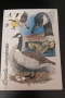 Стара пощенска картичка ”Канадски гъски” (неизползвана), снимка 2