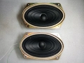 Говорители от телевизор Panasonic, снимка 1