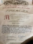 Орден Г.Димитров, златен 1951 иЛауерат на Димитровска награда 2-ра ст., снимка 7