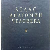 Атлас анатомии человека  том 2 - Р.Д.Синельников - 1956г., снимка 1 - Специализирана литература - 45536071
