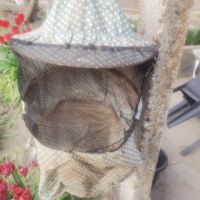 Пчеларски инвентар , снимка 7 - Градински инструменти - 45142303
