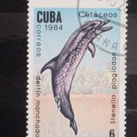 1984 г. Китове и делфини.  Куба., снимка 5 - Филателия - 45448705