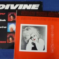 грамофонни плочи Divine /12"Maxi-single/, снимка 6 - Грамофонни плочи - 45232976