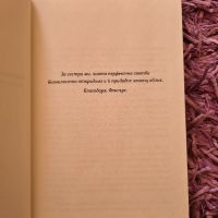 НАМАЛЕНИЕ - Трилър книга ”Другата Двойка” на Сара Нотън, снимка 7 - Художествена литература - 45446838