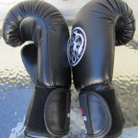 Боксови ръкавици Dragons Kickboxing Club, снимка 8 - Бокс - 45582425