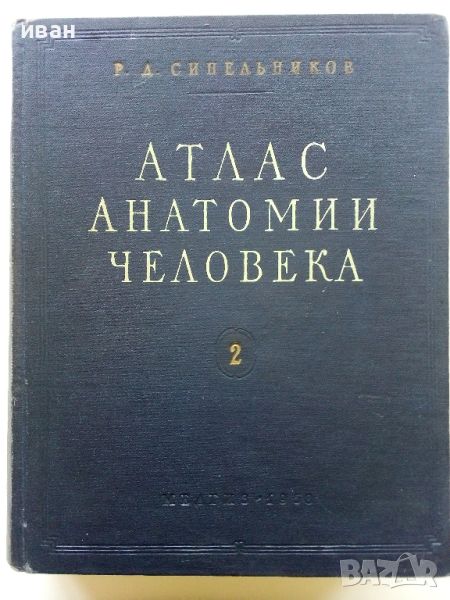 Атлас анатомии человека  том 2 - Р.Д.Синельников - 1956г., снимка 1