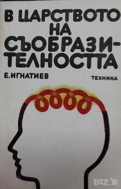 В царството на съобразителността Емелян Игнатиев, снимка 1