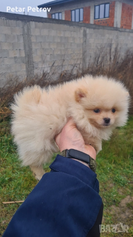 Момиченце за продажба , снимка 1