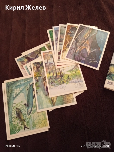 От ДЪЛБИНИТЕ на ВЕКОВЕТЕ фотографии редки за КОЛЕКЦИЯ ДЕКОРАЦИЯ 7416, снимка 1