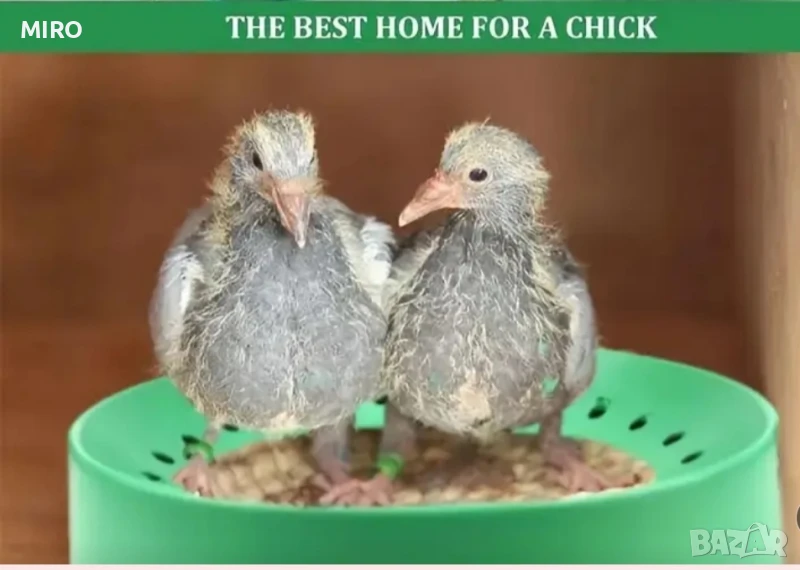 Продавам гнезда и кацалки за гълъби, снимка 1