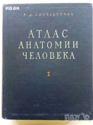 Атлас анатомии человека  том 2 - Р.Д.Синельников - 1956г.