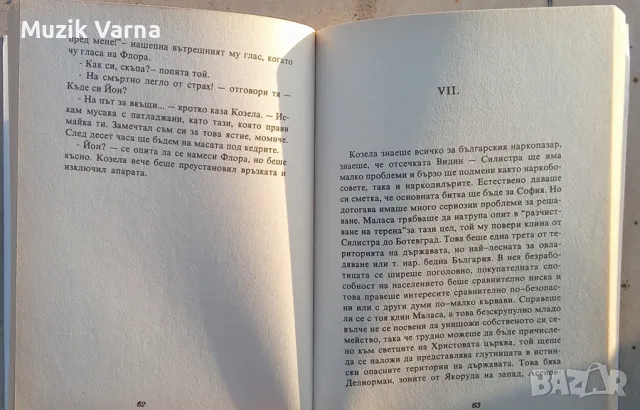  Христо Калчев Синдрома на глутницата (Вулгарен роман), снимка 3 - Художествена литература - 47974225