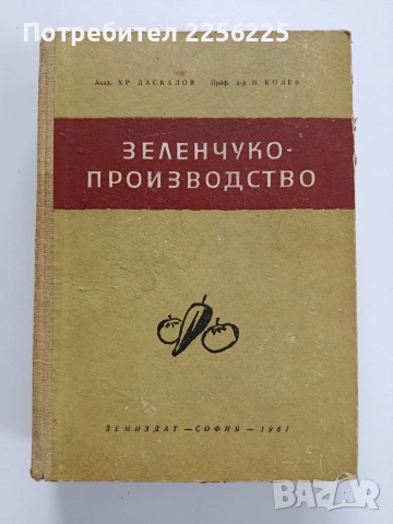 Зеленчукопроизводство