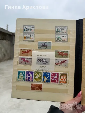 Голям класьор с различни пощенски марки, снимка 8 - Филателия - 50011063