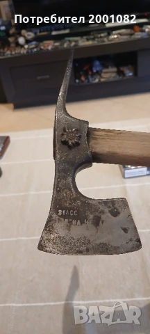 Киркобрадва Еделвайс, снимка 2 - Антикварни и старинни предмети - 50924225