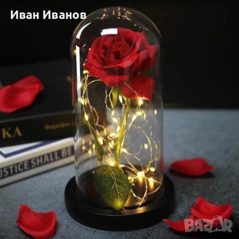 Романтична вечна роза в стъкленица