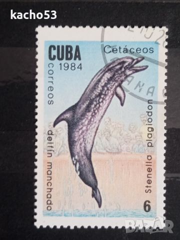 1984 г. Китове и делфини.  Куба., снимка 5 - Филателия - 45448705