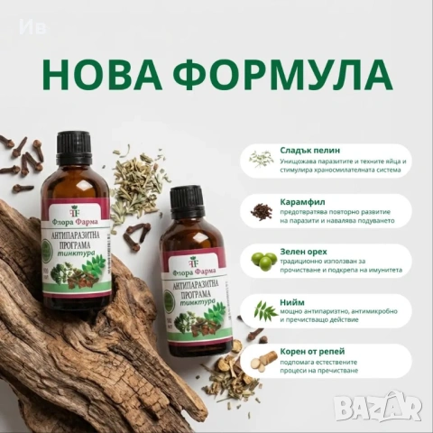 Антипаразитна програма – тинктура 100 мл - убива паразити, бактерии и гъбички, снимка 2 - Други - 53086778