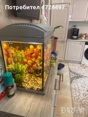 Акрариум със всичко както е на клипа, снимка 4 - Аквариуми - 53336581