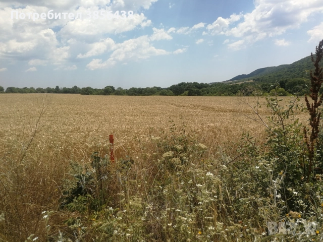 For Sale Investment Building Land 19021Sqm  By Owner Pomorie Bulgaria., снимка 3 - Парцели - 52336430