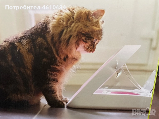 Хранилка за домашен любимец, снимка 2 - За котки - 52856716