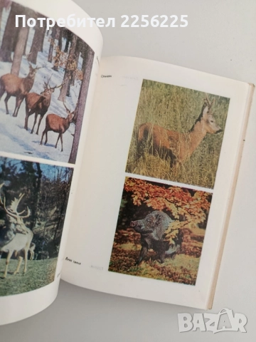 Книга за ловеца и риболовеца, снимка 5 - Специализирана литература - 52222399
