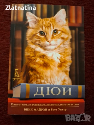 Книга ДЮИ