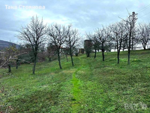 Земеделска земя с. Аспарухово, снимка 7 - Земеделска земя - 40564449