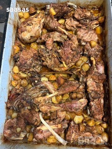 Печени агнета и прасета, снимка 16 - Други услуги - 51031087